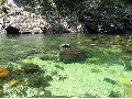 澄み渡る川面