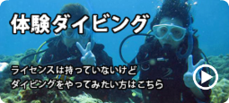 体験ダイビング紹介