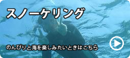スノーケリング