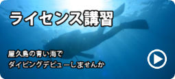 ライセンス講習紹介