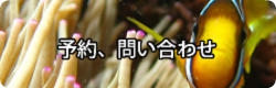 予約、問い合わせ