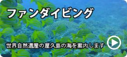 ファンダイビング紹介