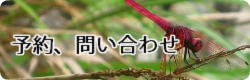 予約、問い合わせ