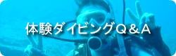 体験ダイビング質問集