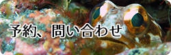 予約、問い合わせ