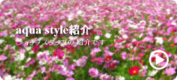 アクアスタイル掲示板