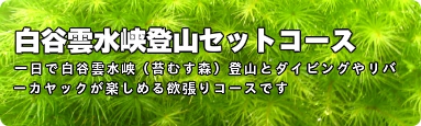特別コース