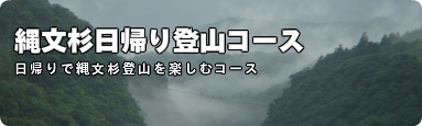 縄文杉登山コース