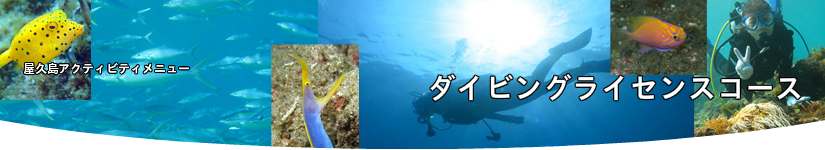 ダイビングライセンスコース！！
