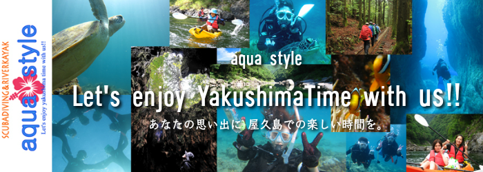 aqua styleイメージ